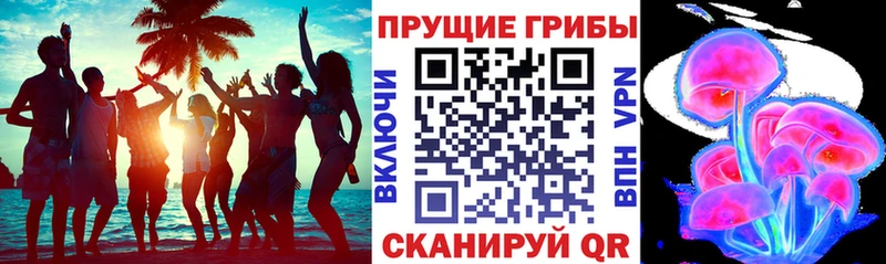 Купить закладки  Фрязино  Псилоцибиновые грибы прущие грибы 